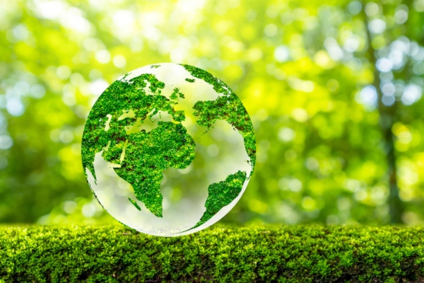 image of a green Earth depicting Bioheat® Fuel