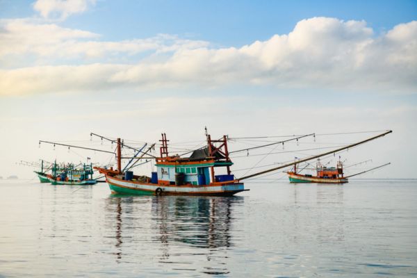 fishing vessels at sea