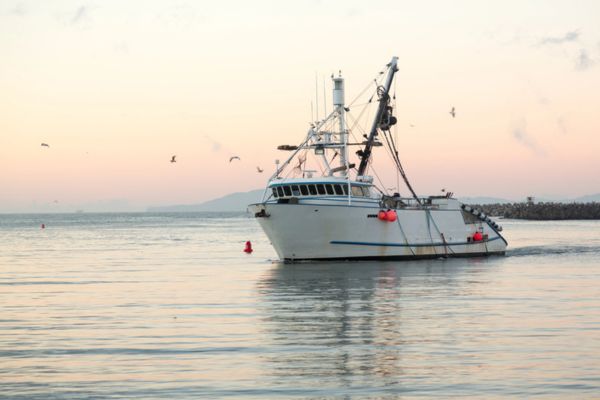image of a fishing boat